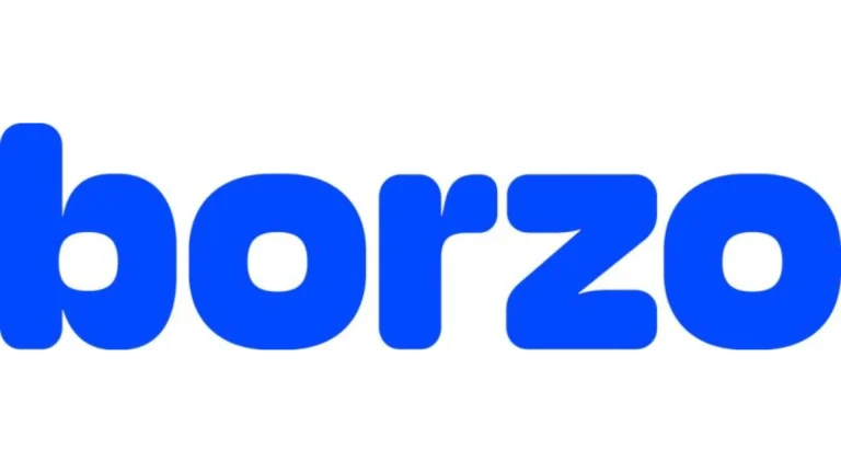 Borzo Delivery Courier Tracking